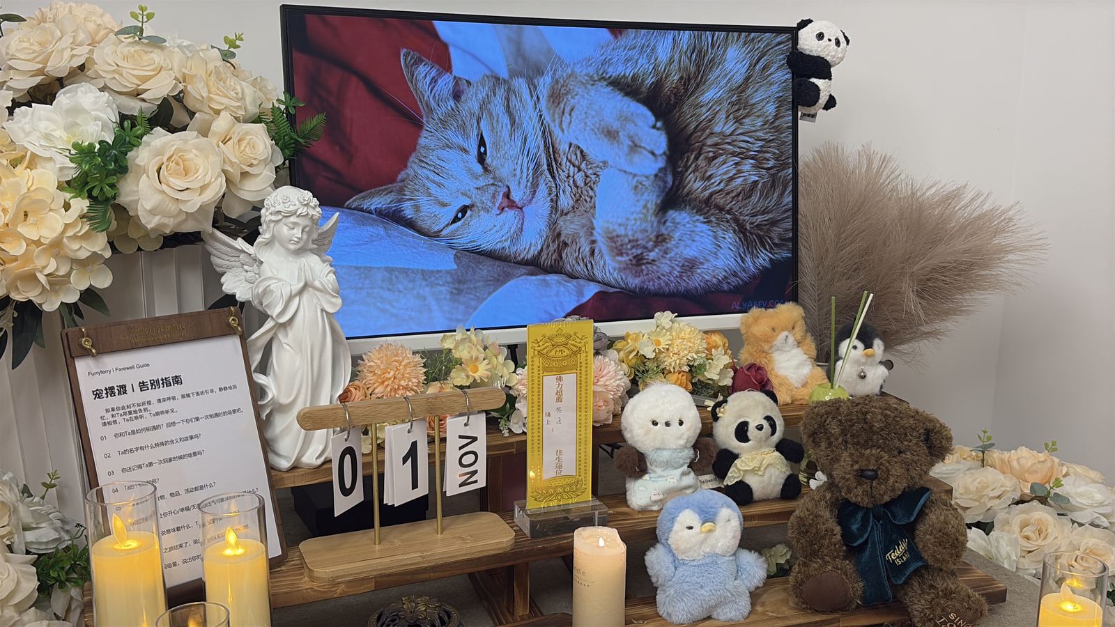 宠物告别纪念仪式